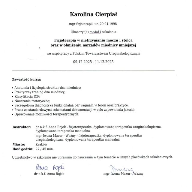 Powiększ obraz: certificate 1