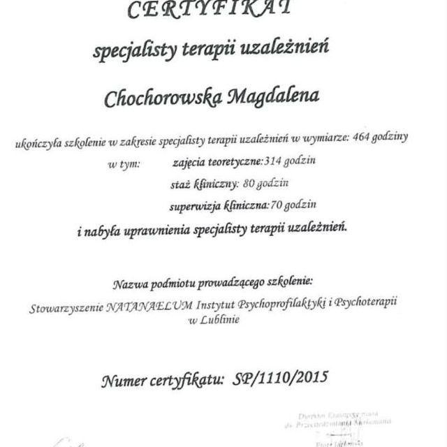 Powiększ obraz: certificate 1