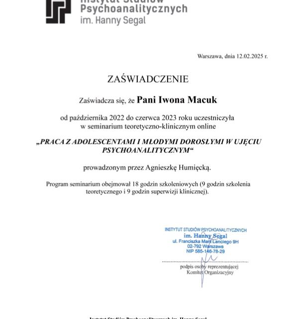 Powiększ obraz: certificate 4