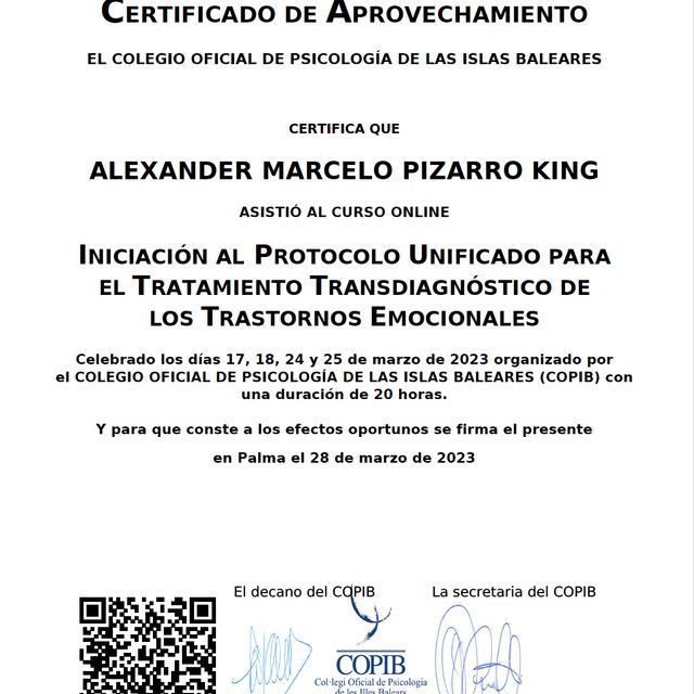 Acercar imagen: certificate 3