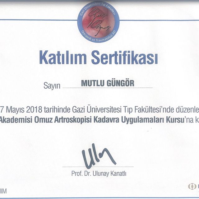 Resmi büyüt: certificate 9