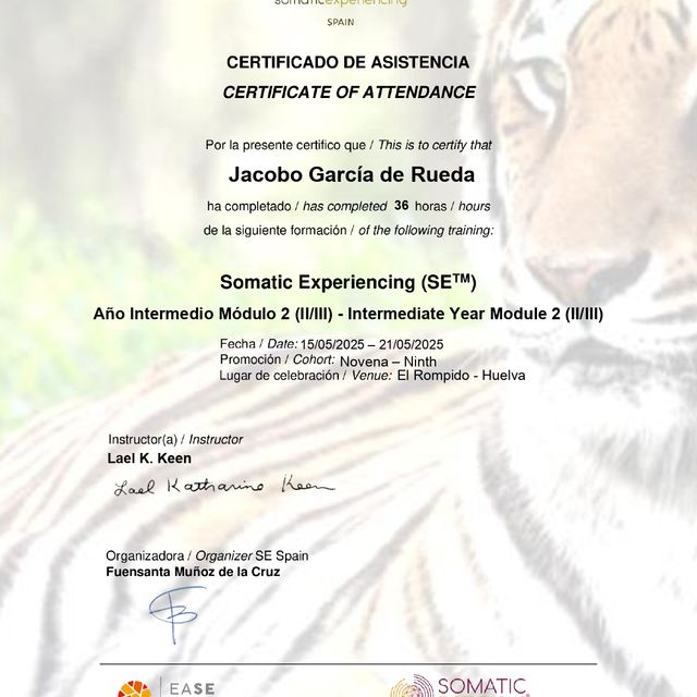 Acercar imagen: certificate 12