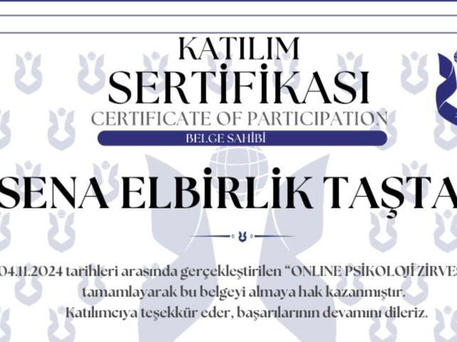 Resmi büyüt: certificate 4