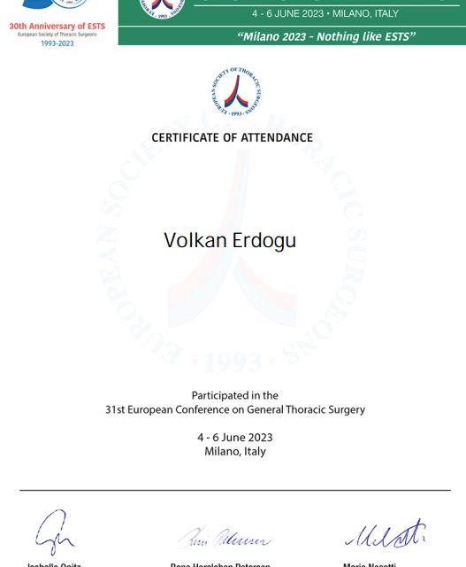 Resmi büyüt: certificate 2