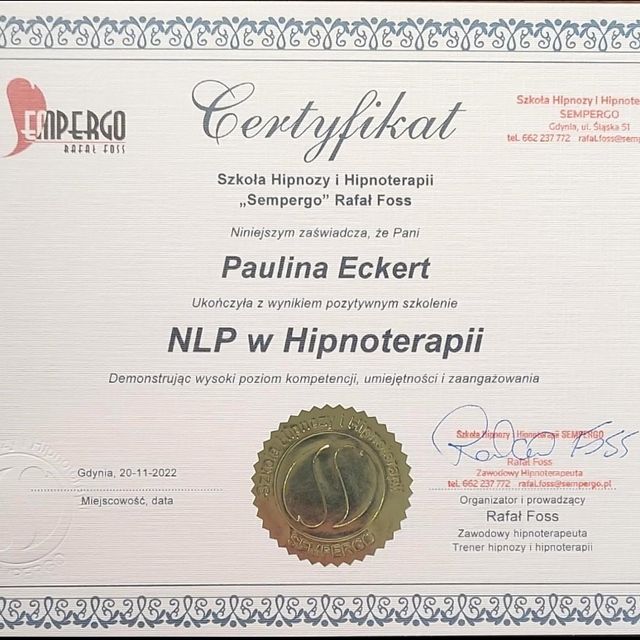 Powiększ obraz: certificate 6