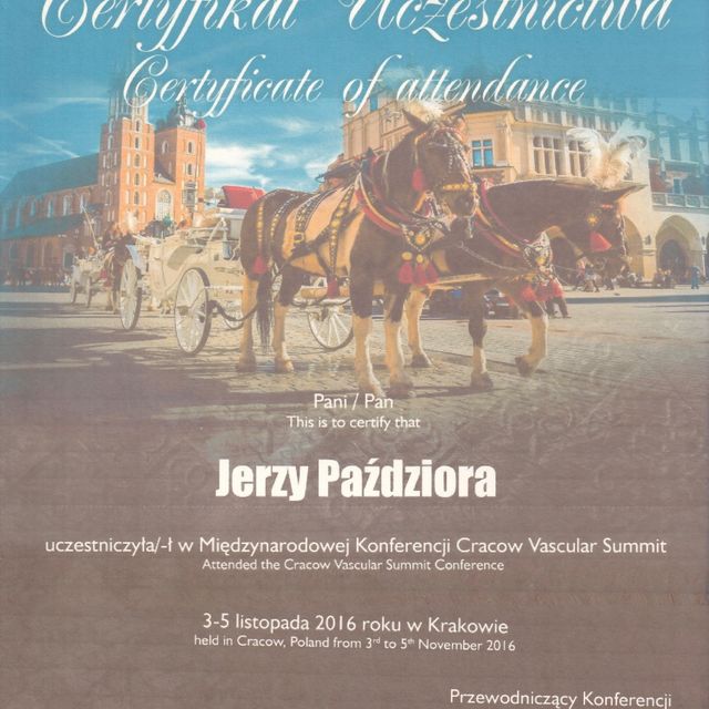 Powiększ obraz: certificate 14
