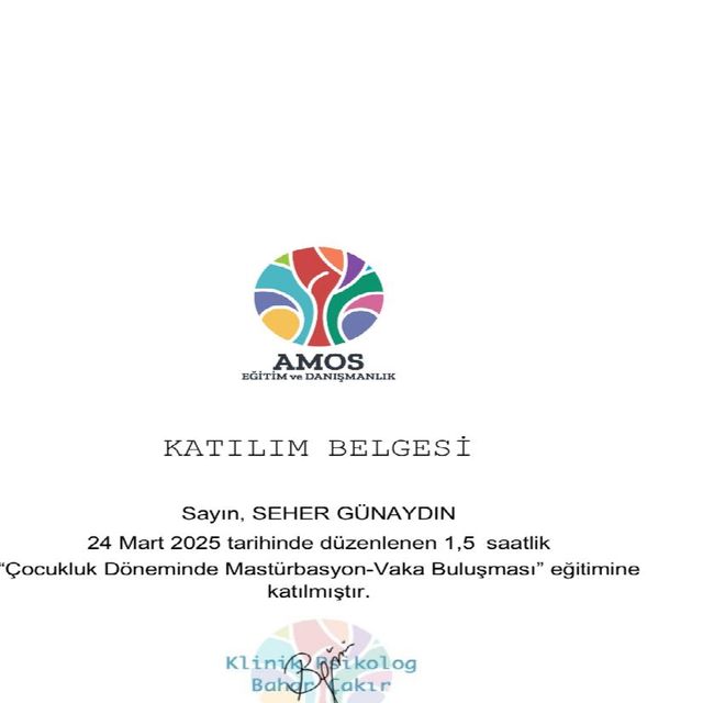 Resmi büyüt: certificate 2