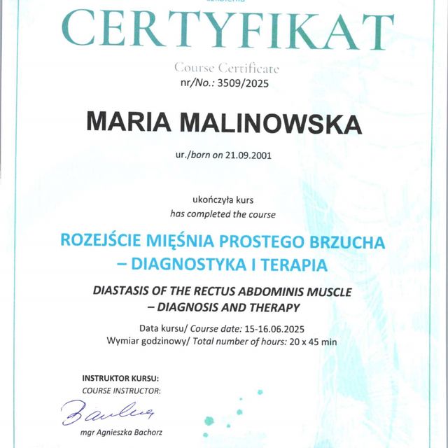 Powiększ obraz: certificate 1