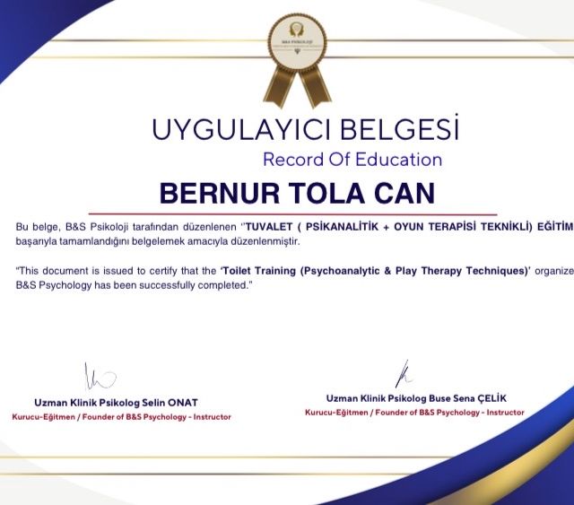 Resmi büyüt: certificate 17