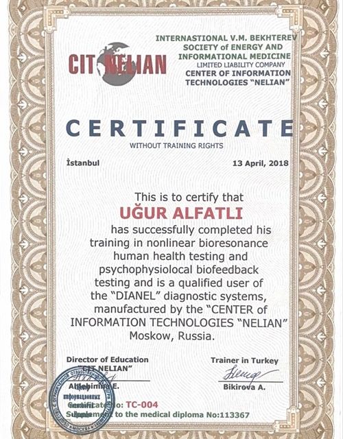Resmi büyüt: certificate 9