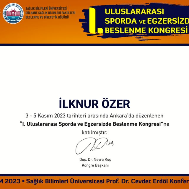 Resmi büyüt: certificate 1