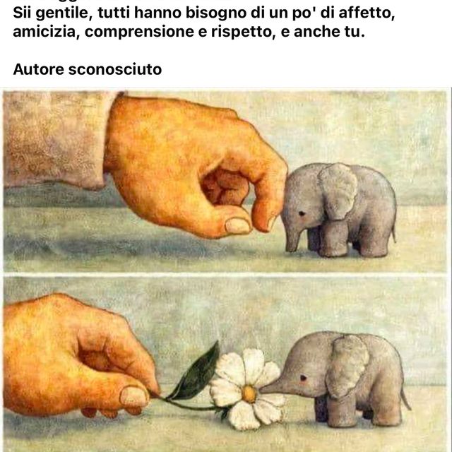 Ingrandire l'immagine: certificate 38