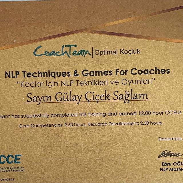 Resmi büyüt: certificate 4