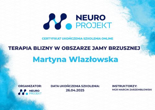 Powiększ obraz: certificate 7