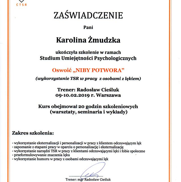 Powiększ obraz: certificate 7