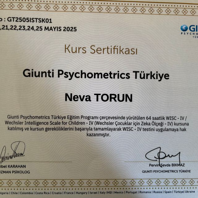 Resmi büyüt: certificate 2