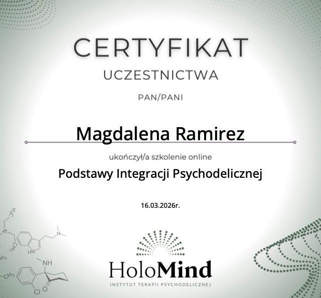 Powiększ obraz: certificate 11