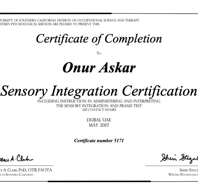 Resmi büyüt: certificate 1