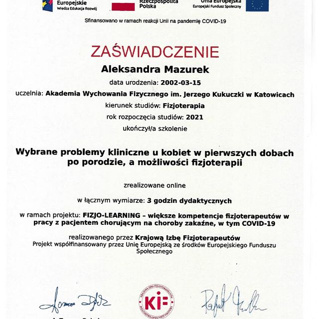 Powiększ obraz: certificate 9