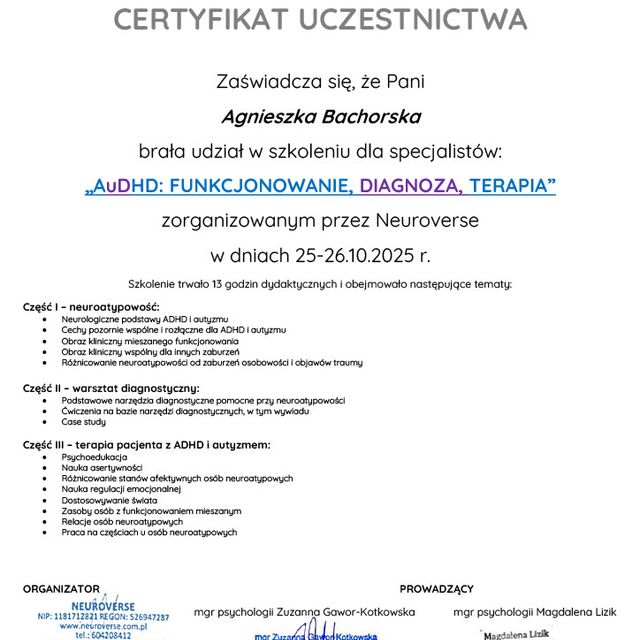 Powiększ obraz: certificate 1