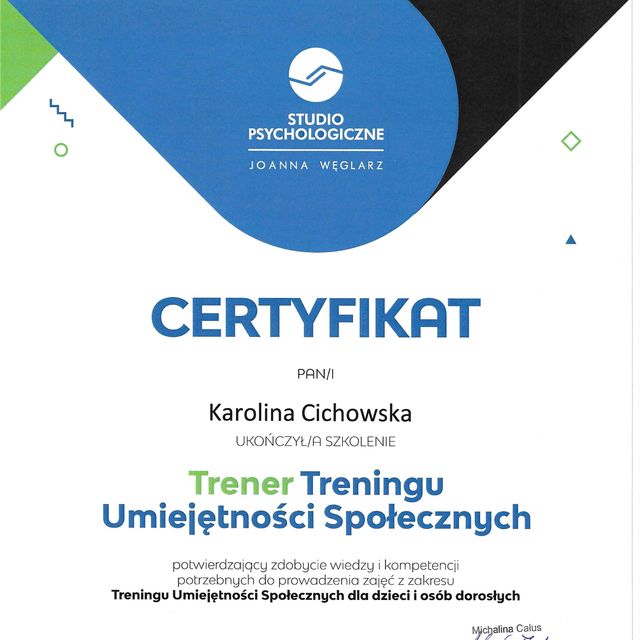 Powiększ obraz: certificate 8