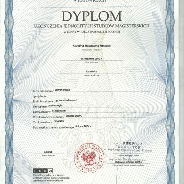 Powiększ obraz: certificate 1