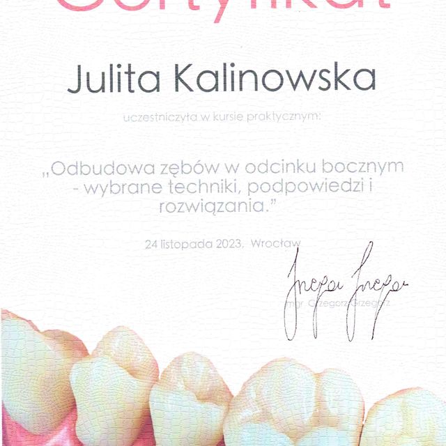 Powiększ obraz: certificate 4
