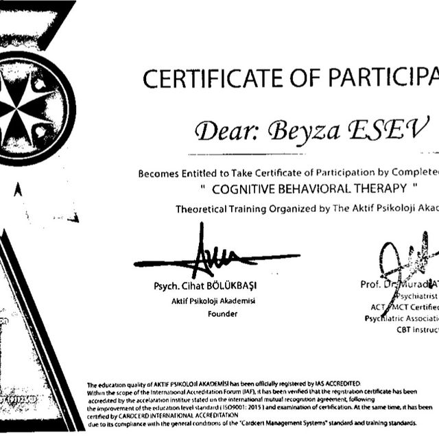 Resmi büyüt: certificate 2