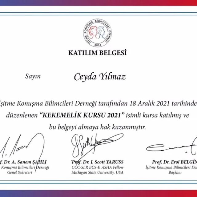 Resmi büyüt: certificate 11
