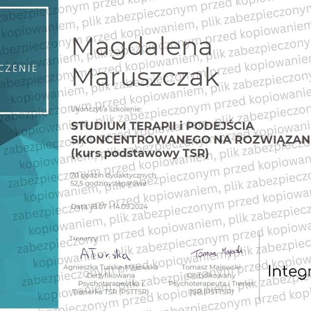 Powiększ obraz: certificate 13