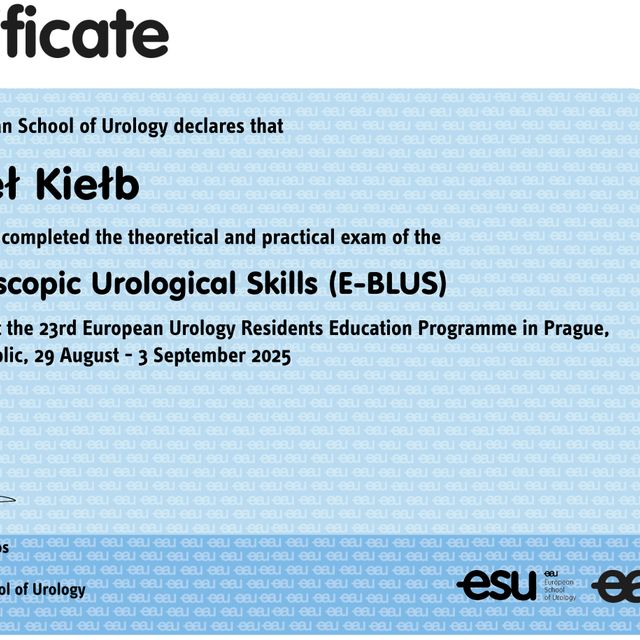 Powiększ obraz: certificate 1