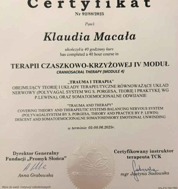 Powiększ obraz: certificate 3