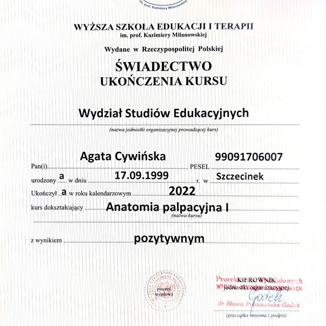 Powiększ obraz: certificate 7