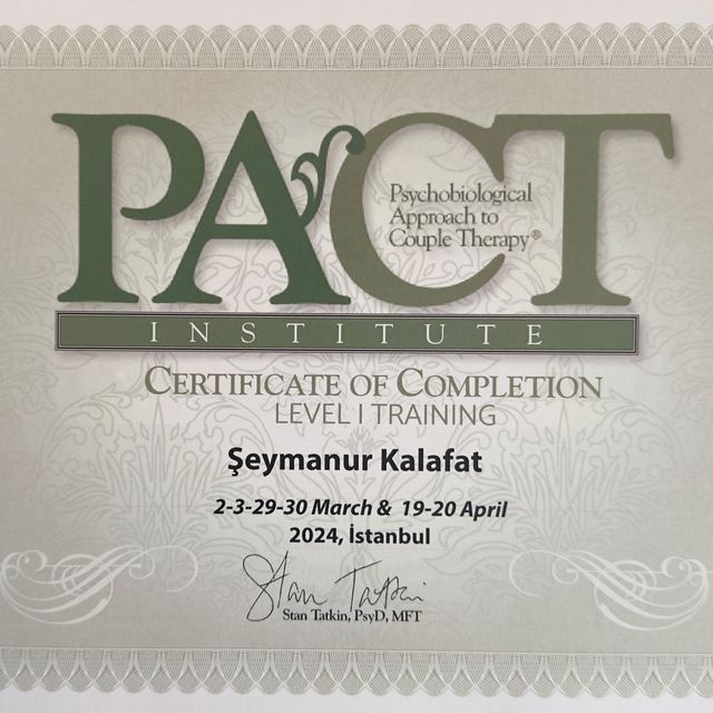Resmi büyüt: certificate 3
