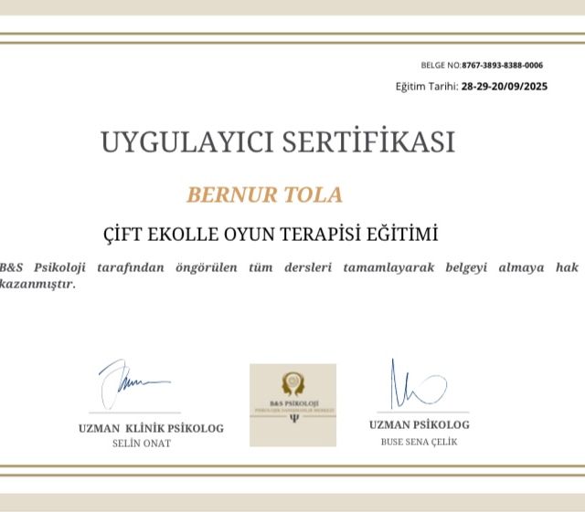 Resmi büyüt: certificate 9