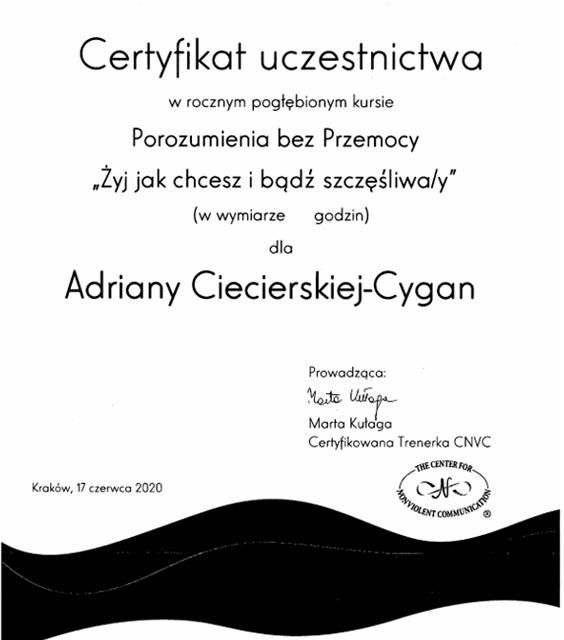 Powiększ obraz: certificate 1