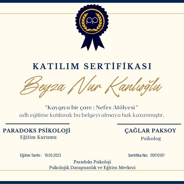 Resmi büyüt: certificate 2