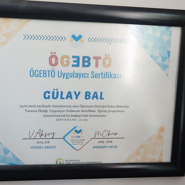 Resmi büyüt: certificate 3