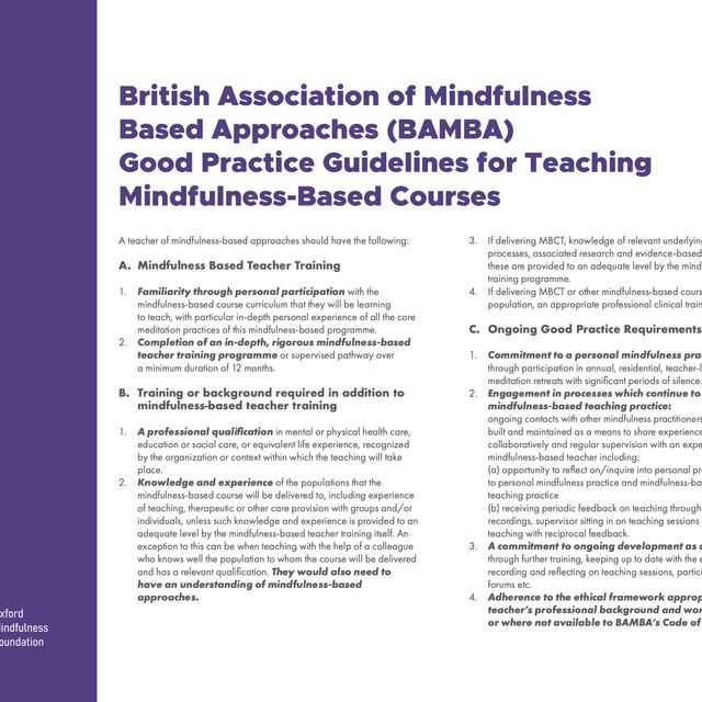 Powiększ obraz: certificate 4