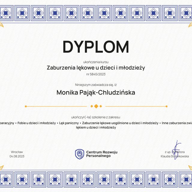 Powiększ obraz: certificate 6
