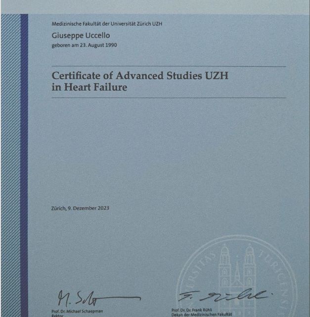 Ingrandire l'immagine: certificate 2