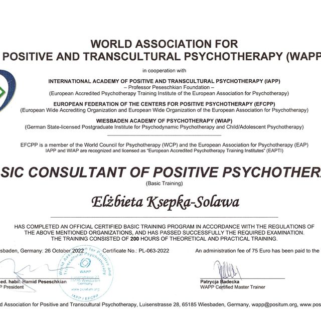 Powiększ obraz: certificate 1