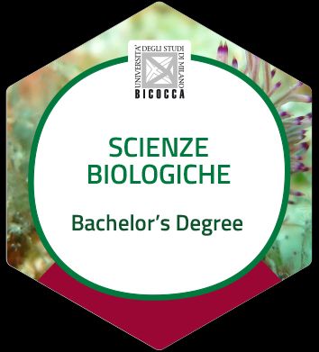 Ingrandire l'immagine: certificate 2