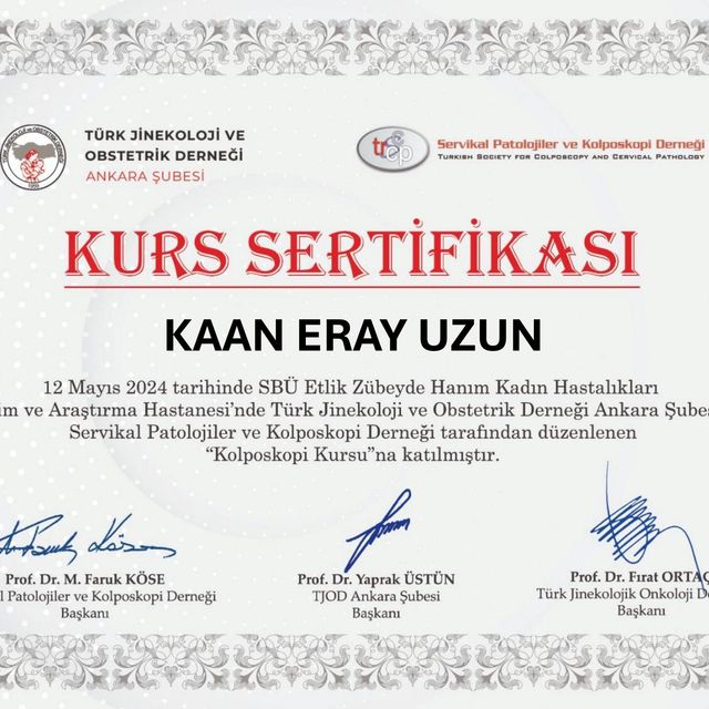 Resmi büyüt: certificate 12