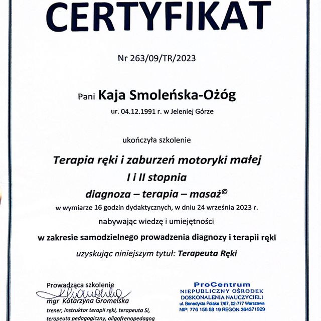 Powiększ obraz: certificate 6