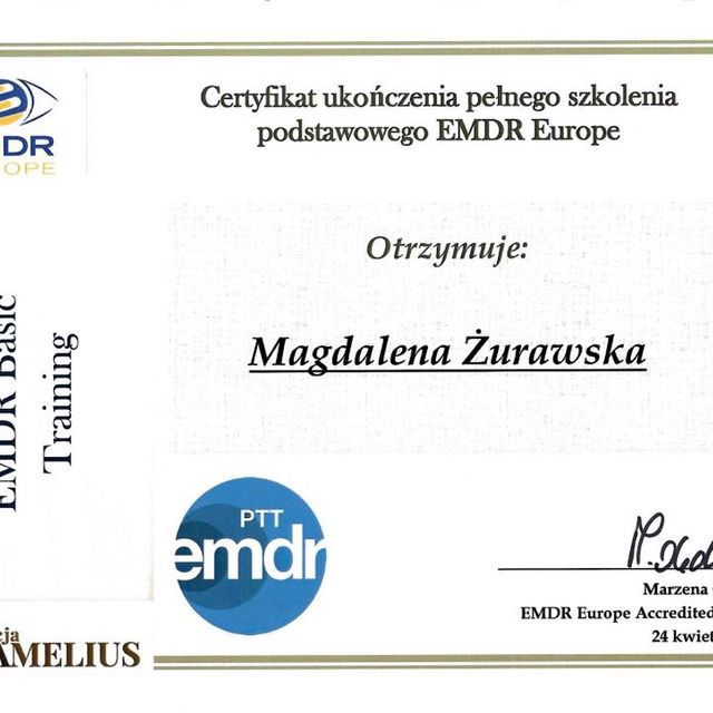 Powiększ obraz: certificate 4