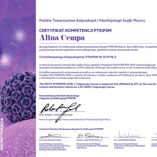 Powiększ obraz: certificate 3