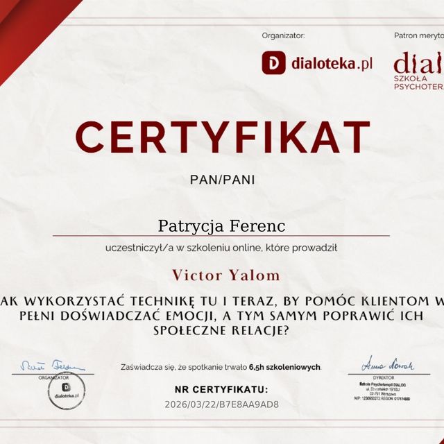Powiększ obraz: certificate 1