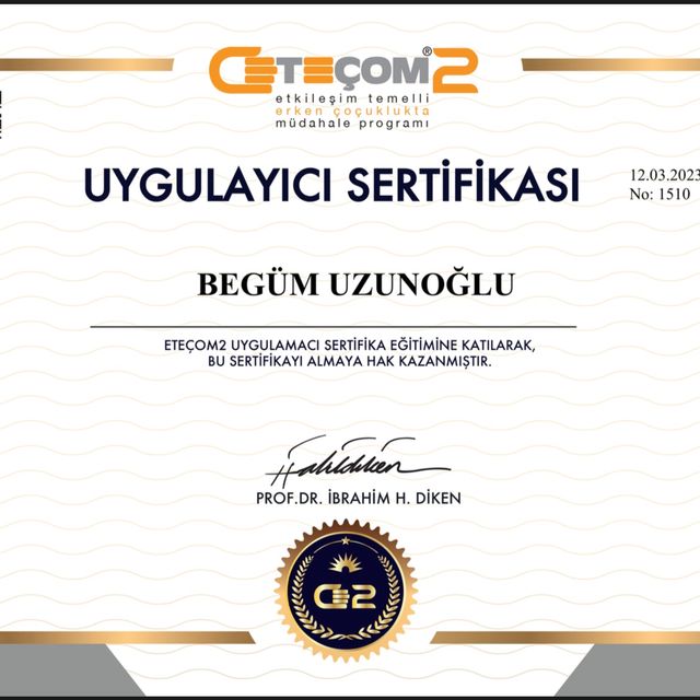 Resmi büyüt: certificate 3