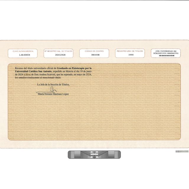 Ingrandire l'immagine: certificate 2